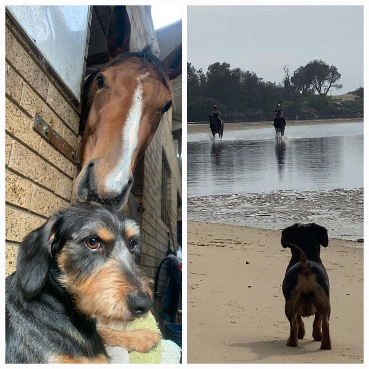 Our four-legged foreman, Rex, likes to keep a close eye on what is going on at Jamie Stewart Racing.