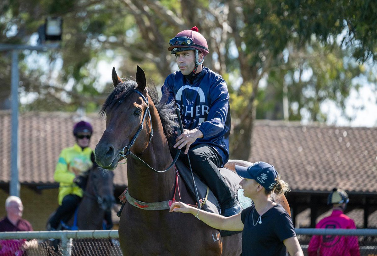 📣 PLAYING BY THE RULES 📣

Our Racing Manager, Emma Reeves, aids us with programming and identifies who she thinks is the best placed horse each weekend 🔥

JON BON 🔵⚪️ Saturday 17th February, Newcastle, Race 6 

Read more here ➡️ gaiwaterhouse.com.au/news/57758/pla…