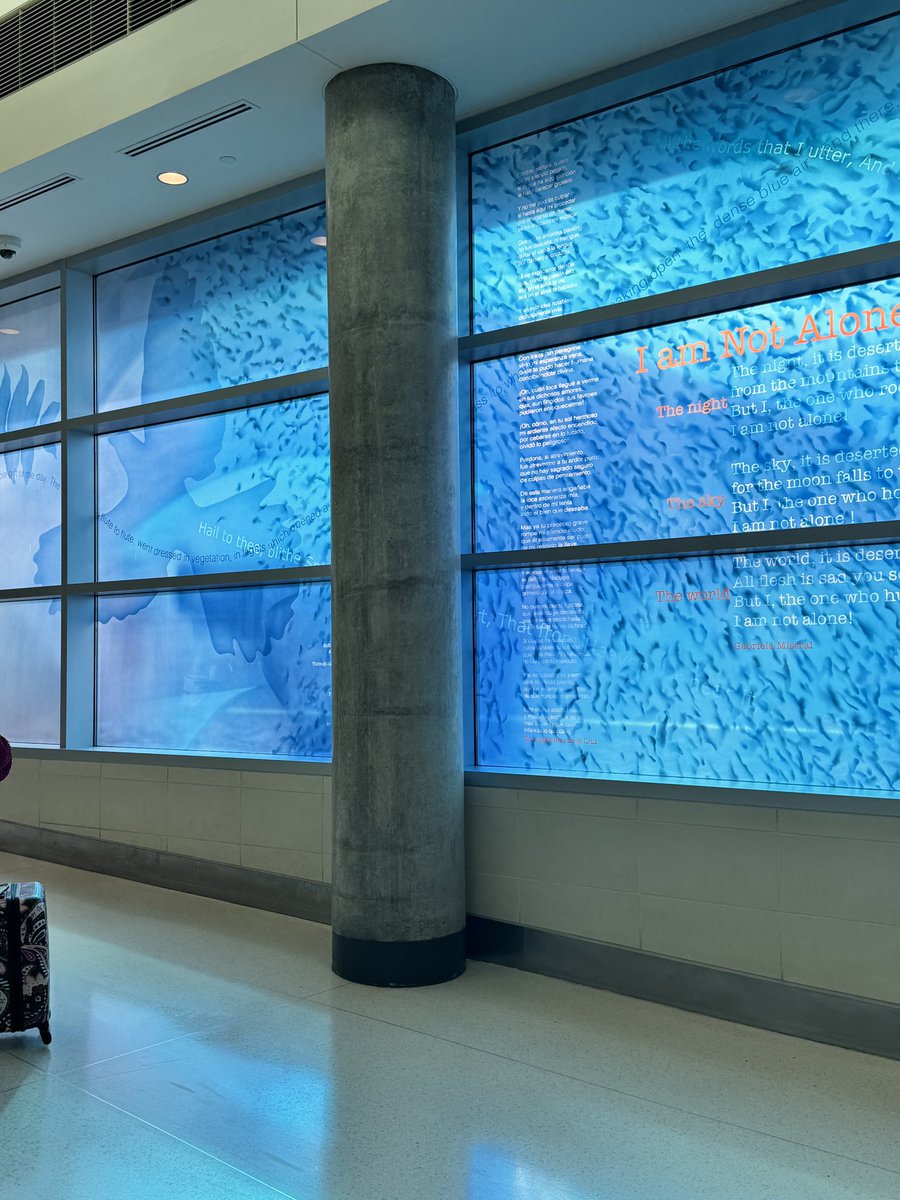 slapjack tweet media