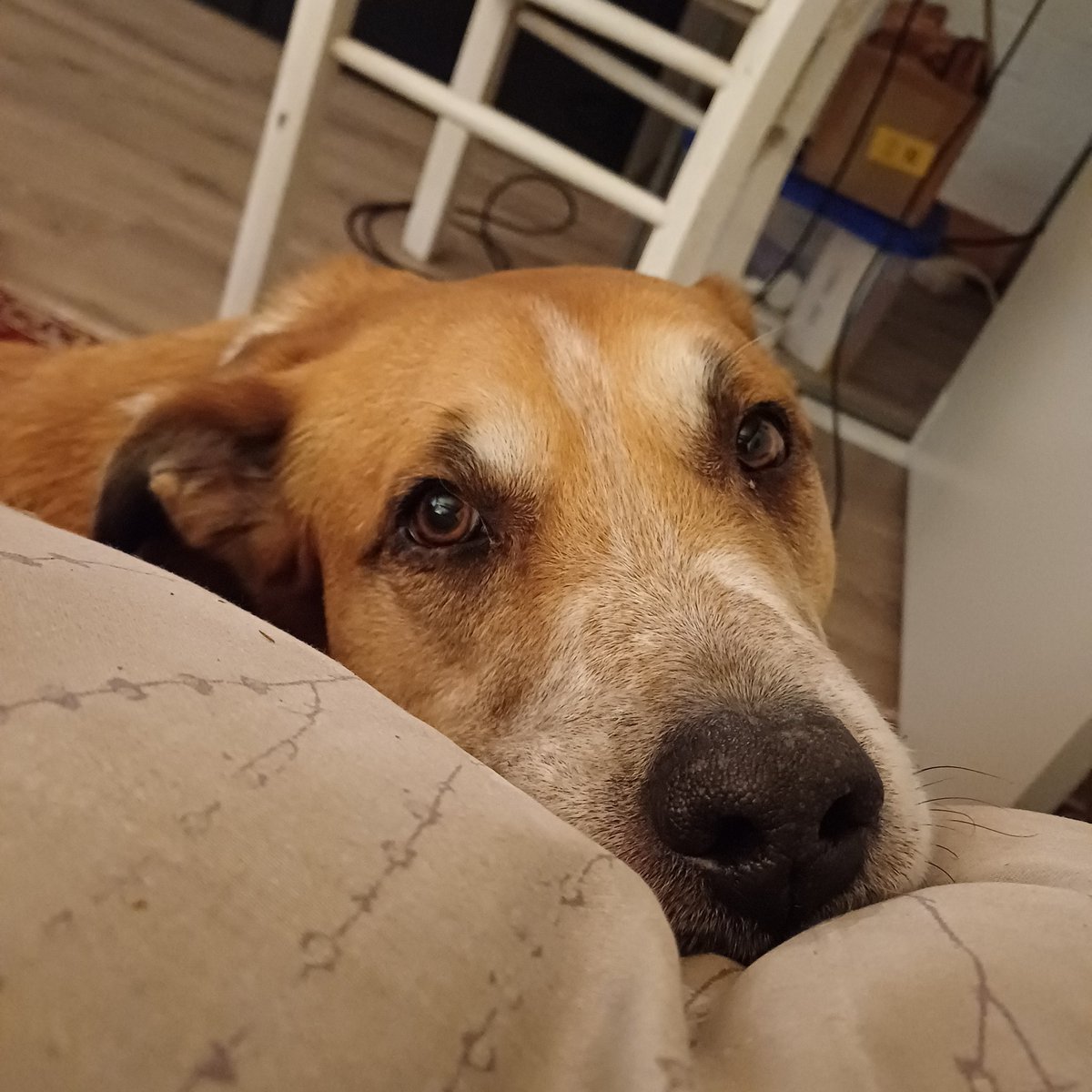 Oui oui on va y aller... attends que je me remette... 
Imagine toi voir il y a 10 ans une pub pour, allez disons Bittrex, en plein prime time du vendredi.
Oula la caisse 🤢 ok ok on y va on est parti on est plus là