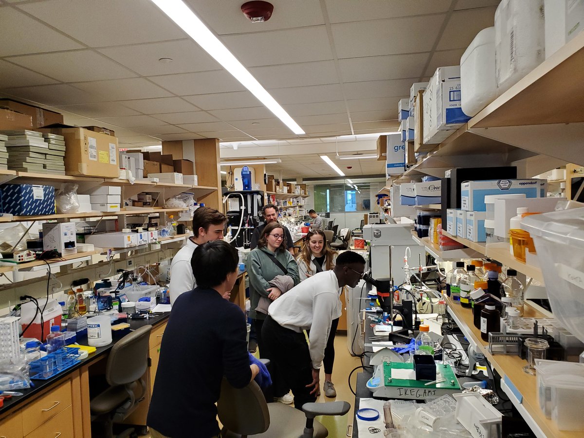 Ikegami lab tweet media