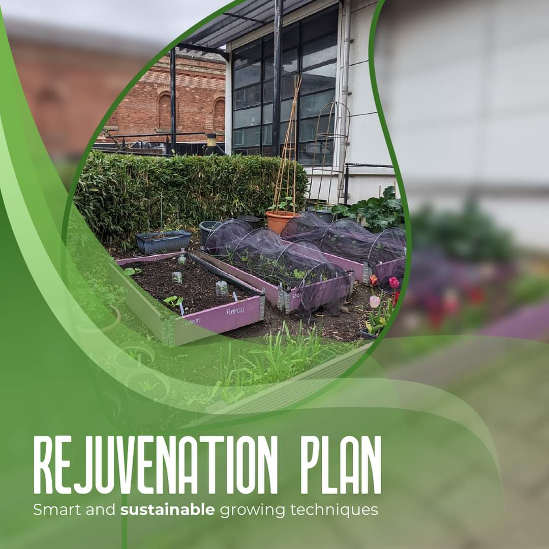 Clean & Green Castlefield tweet media