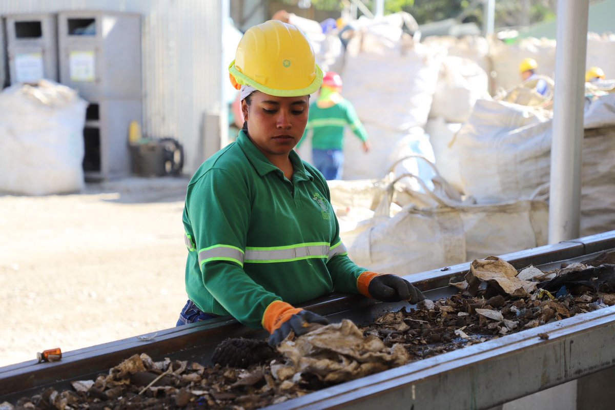 Ministerio Ambiente y Recursos Naturales 🌳 tweet media