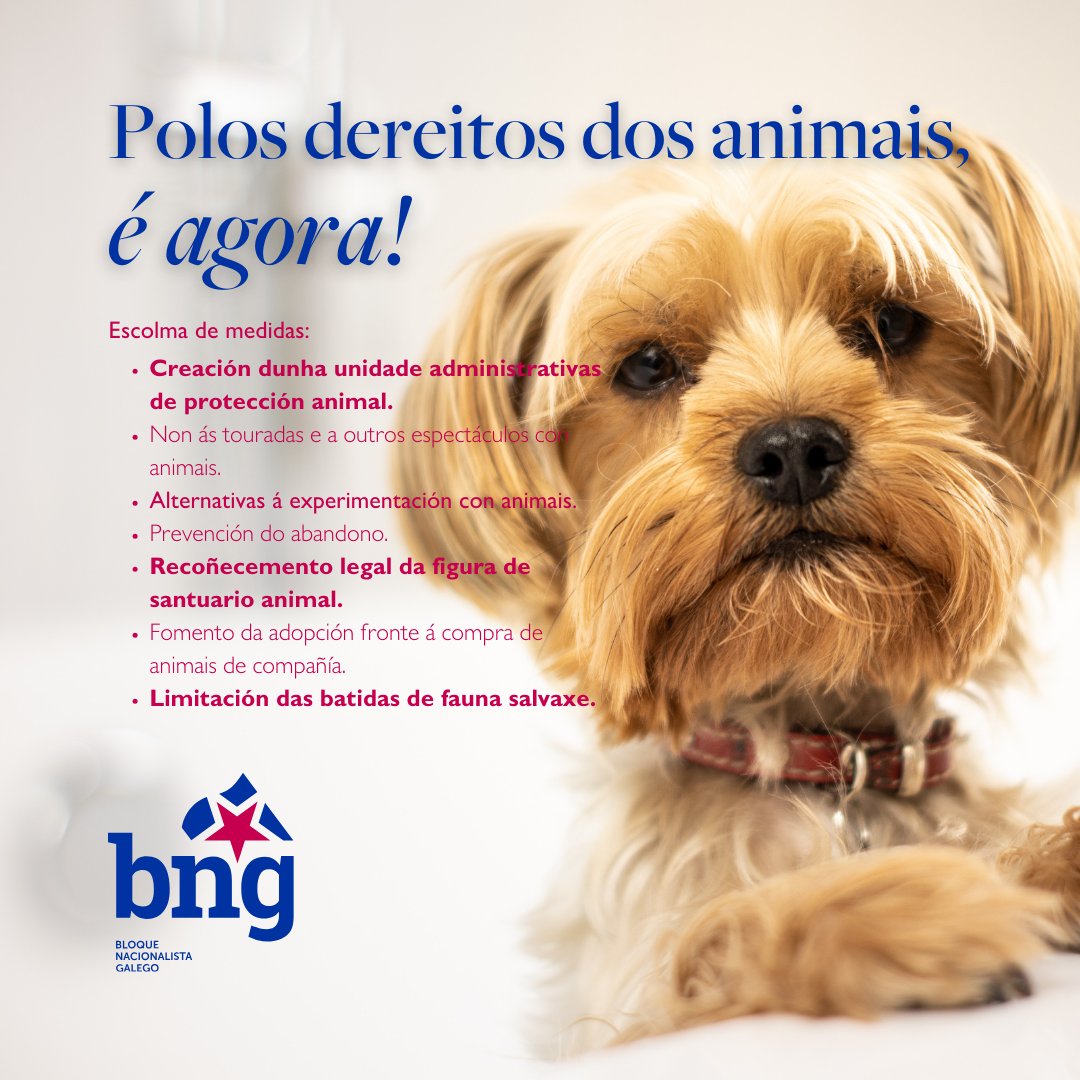 Polos dereitos dos animais, é agora.

#AnaPontónPresidenta