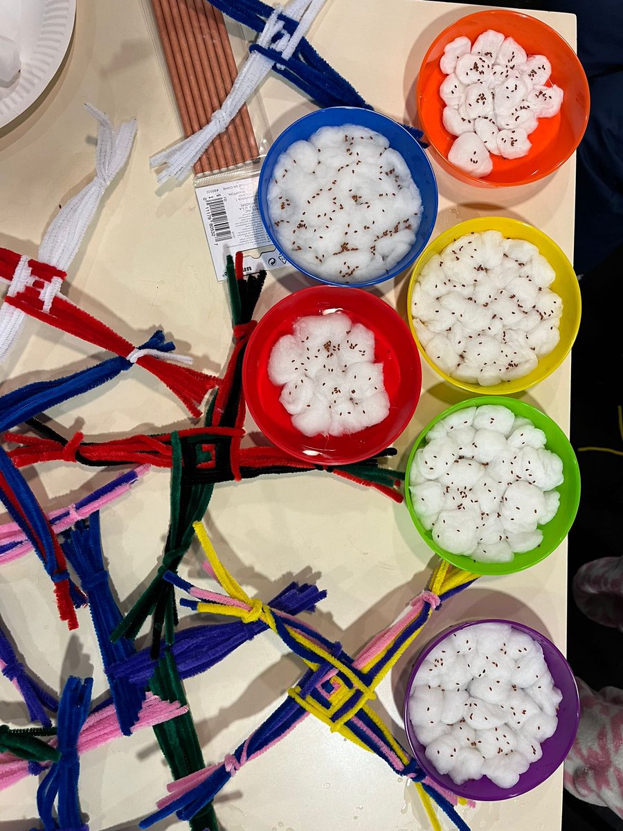 Rachel Howe tweet media