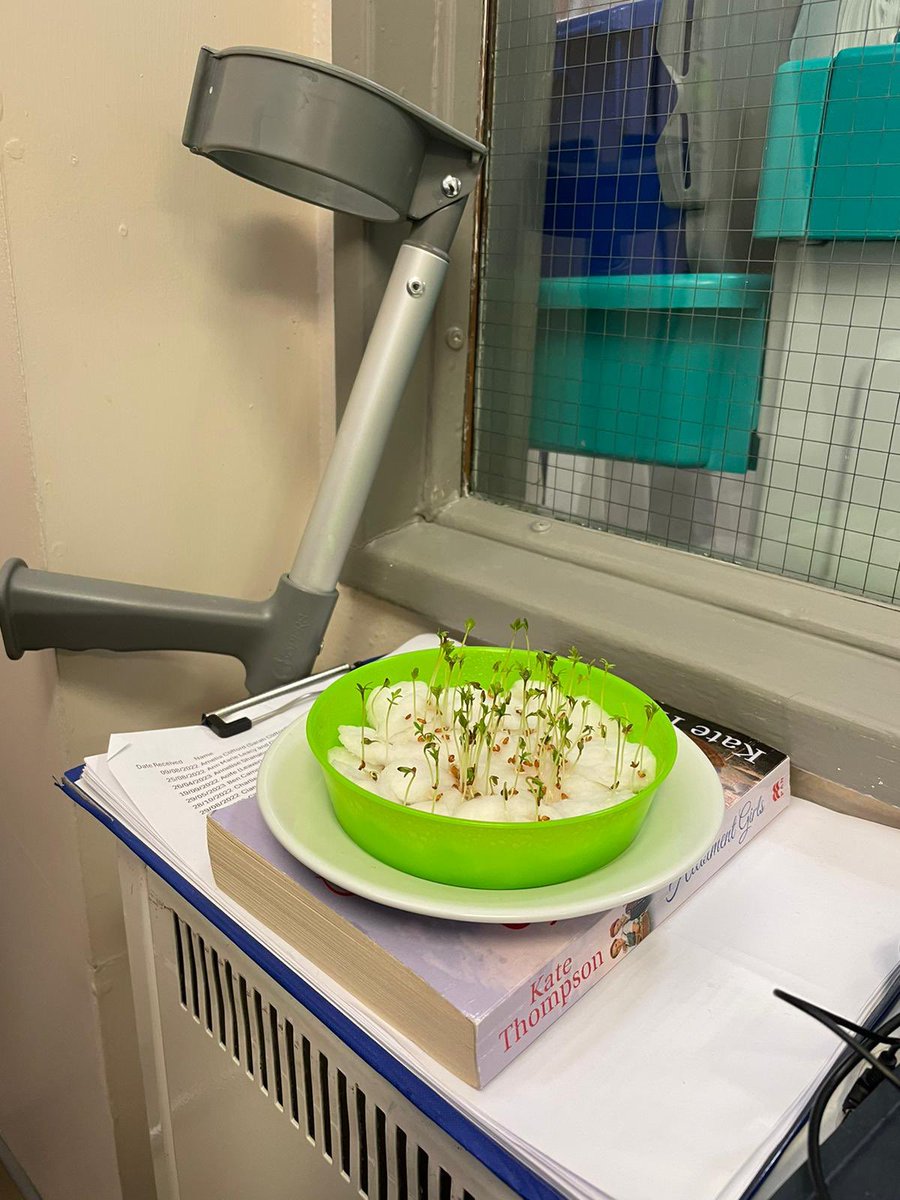 Rachel Howe tweet media