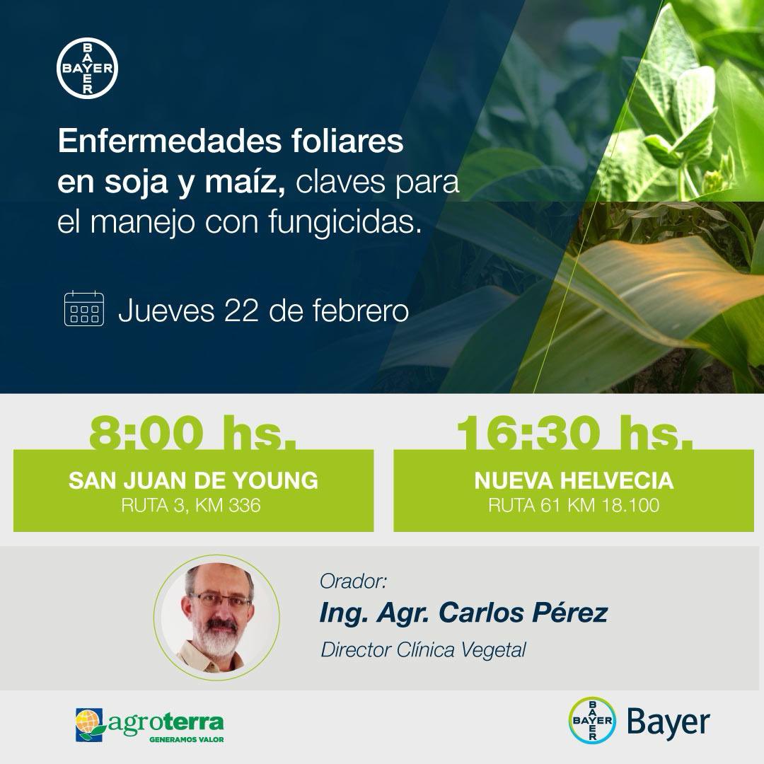 agroterrauy tweet media