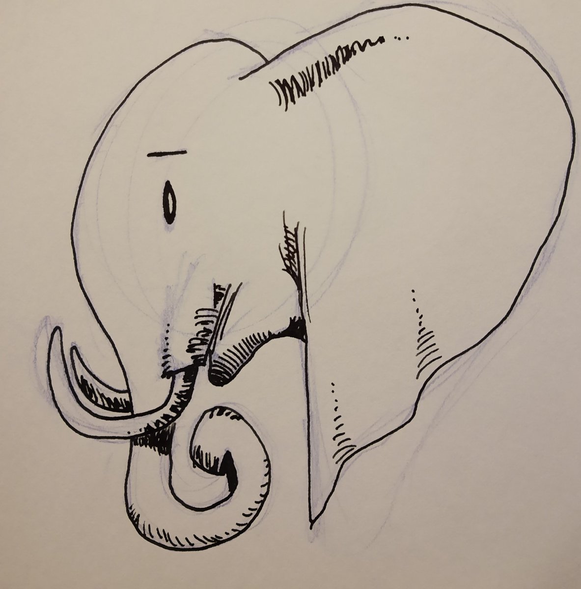 S____elwin's tweet photo. An elephant. I think Murphy is a good name.

#art #cartoon #drawing #elephant https://t.co/TjiBPQDgIt