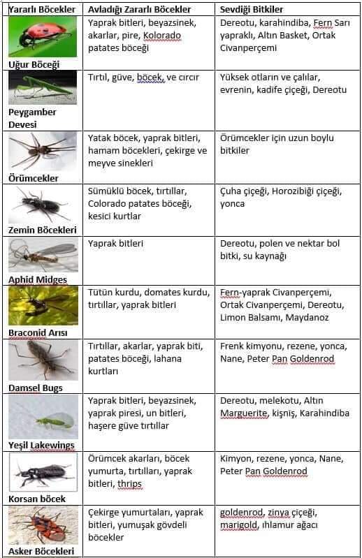 Arşivlik Bilgi

Çiftçi Dostu Faydalı Böcekler...

Her gördüğümüz böcek zararlı değildir!Tarım zehiri kullanmadan zararlılarla biyolojik mücadele edebilirsiniz. Doğadaki canlı dostlarınızı, çevrenizi ve kendi sağlığınızı koruyun!..

#sıfırkimyasal
#temiztarım
#sağlıklıgıda