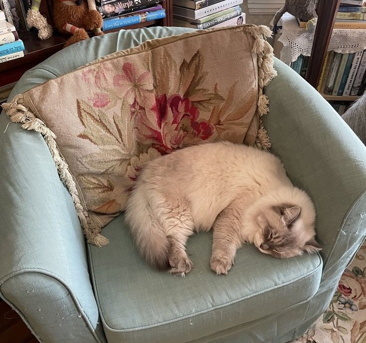 𓇼 (@bluepaints) on Twitter photo 