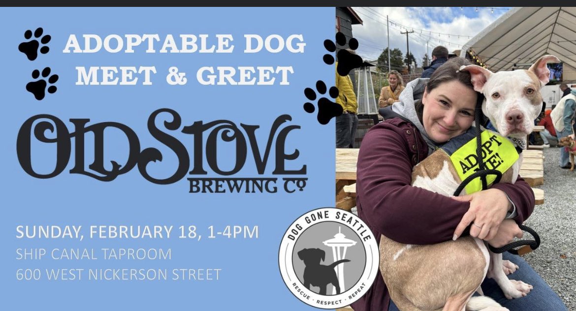 Hello #Seattle -In two days we have a #MeetandGreet. Come meet adorable adoptable dogs this Sunday!