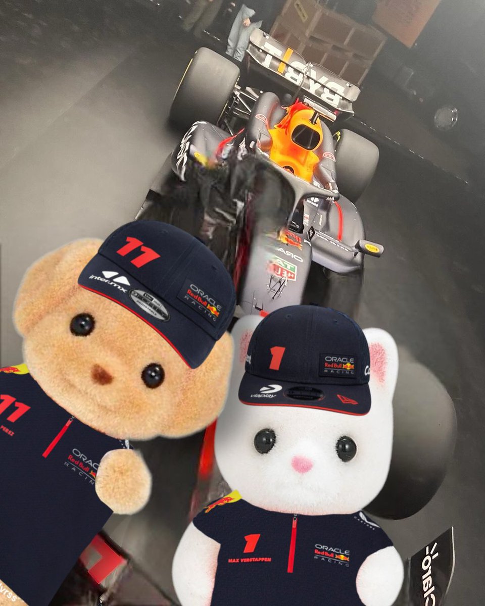 les limpio su tl con checo y max ternurines