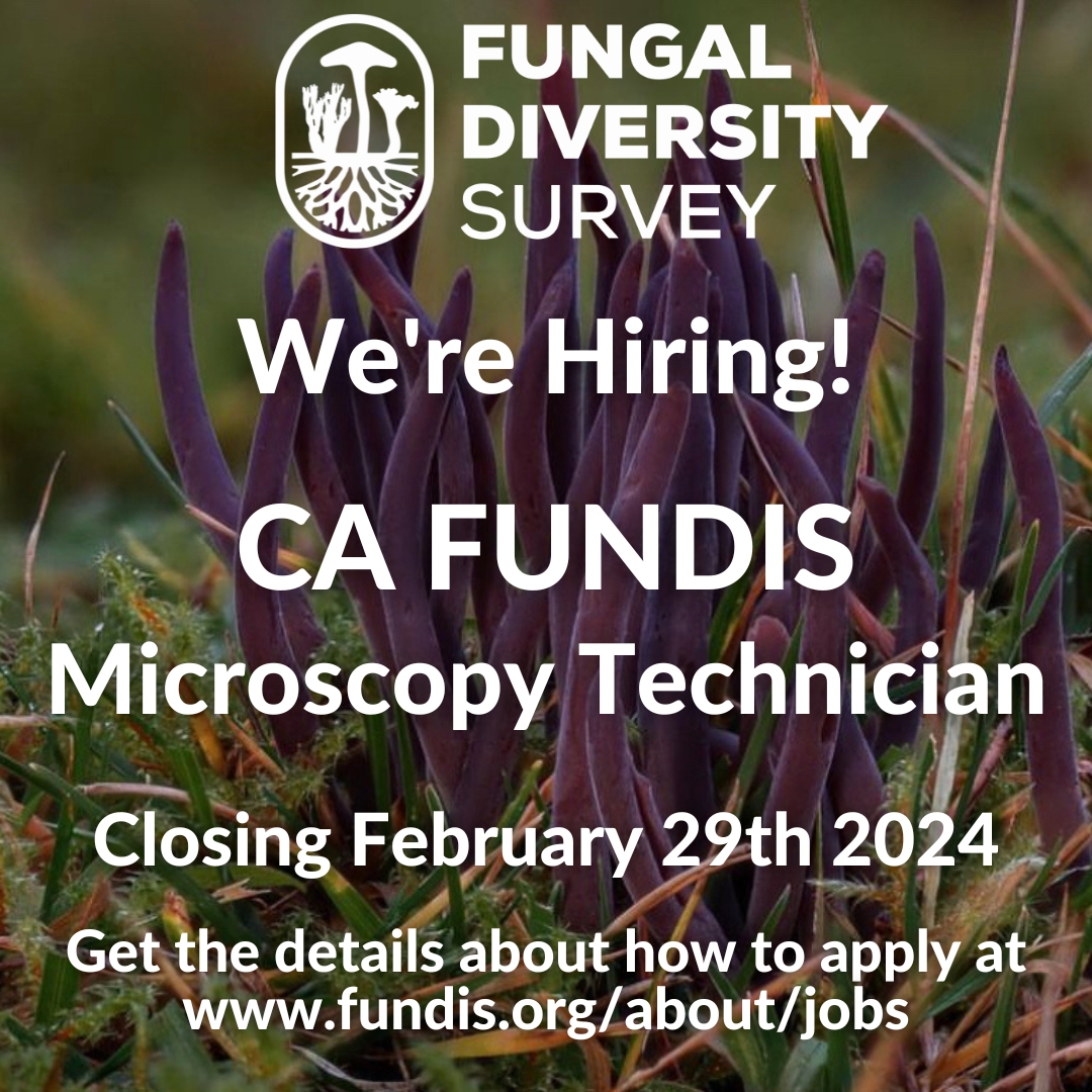 We are offering a great opportunity to join the CA FUNDIS team! Our Microscopy Technician will perform microscopy on fungal specimens selected for analysis by the Collections and Sequencing Leads. Access full job details and application instructions at fundis.org/about/jobs