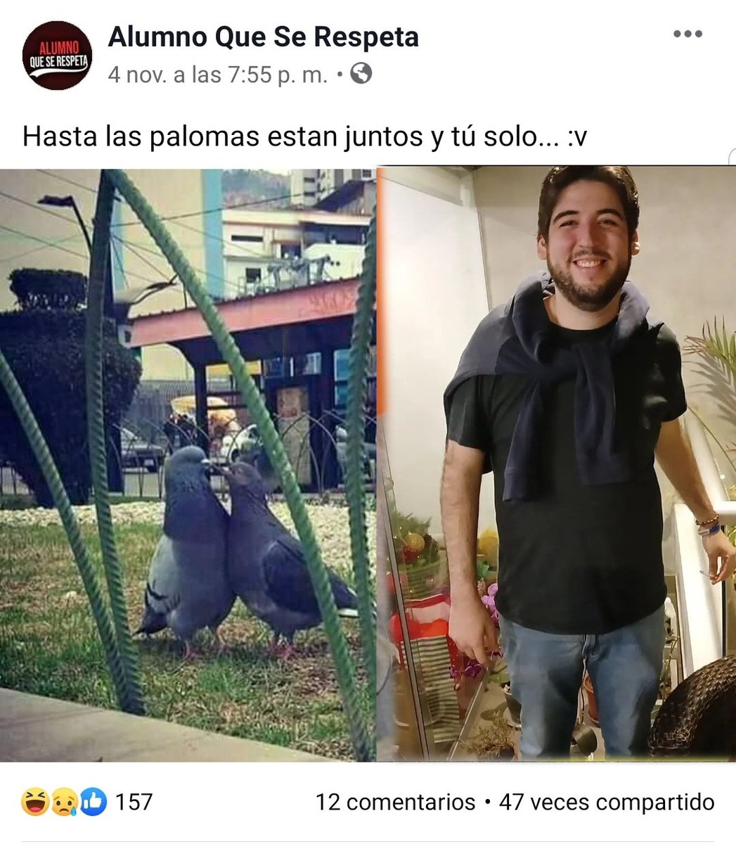 Quintina tweet media