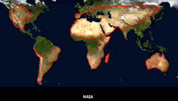 AllanRSavory's tweet image. Tragic to see such ecological ignorance leading to so many highly intelligent people believing governments (politicians) can develop policies managing institutions, economy and Nature to produce all the forms of food we need, using simply more technology and money to beat global…