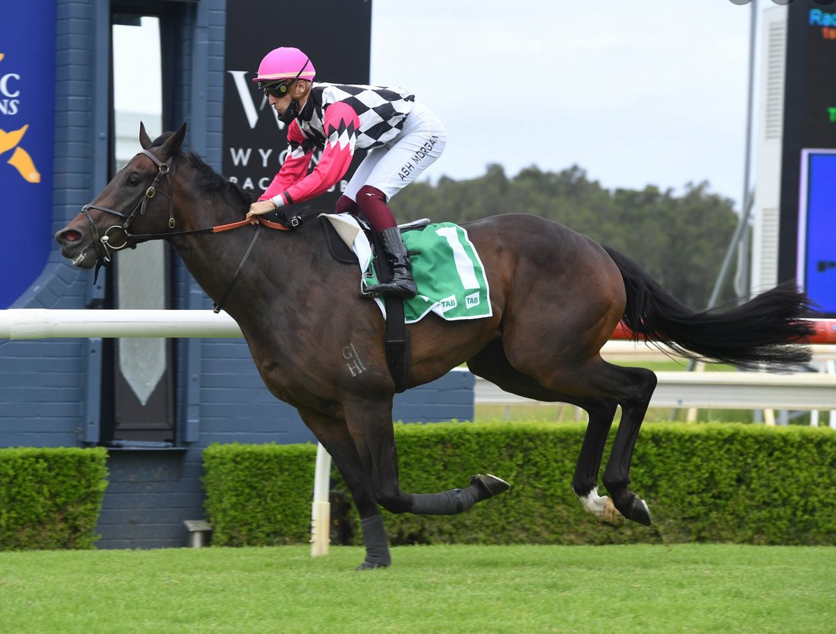 It could be a big day for #teamwyong at Randwick. Sara Ryan's Attractable contests G2 Apollo, Kristen Buchanan saddles up Deluxo 👇 &amp; Cecil Street Lad in the Midway, while Tracey Bartley's Barossa Rosa starts in 1300m BM88 &amp; Kiss Sum in 1400m BM78. We'll be cheering 🤞#whatateam