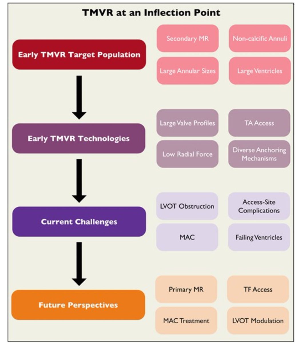 JGrapsa's tweet photo. Superb manuscript by @SebLudwig1 @jgranadacrf #EHJ @ESC_Journals @escardio #Cardiopulse @FrancescoPaneni @ehj_ed Transcatheter mitral valve replacement at an inflection point: lessons learned and the path forward  ➡️ https://t.co/7CHeGp7X8A @crfheart @TCTConference @mmamas1973 @mirvatalasnag @EZancanaroMD @ShehabAnwer @VDelgadoGarcia @echo_stepbystep @BakhshiHooman @JSillerMatula