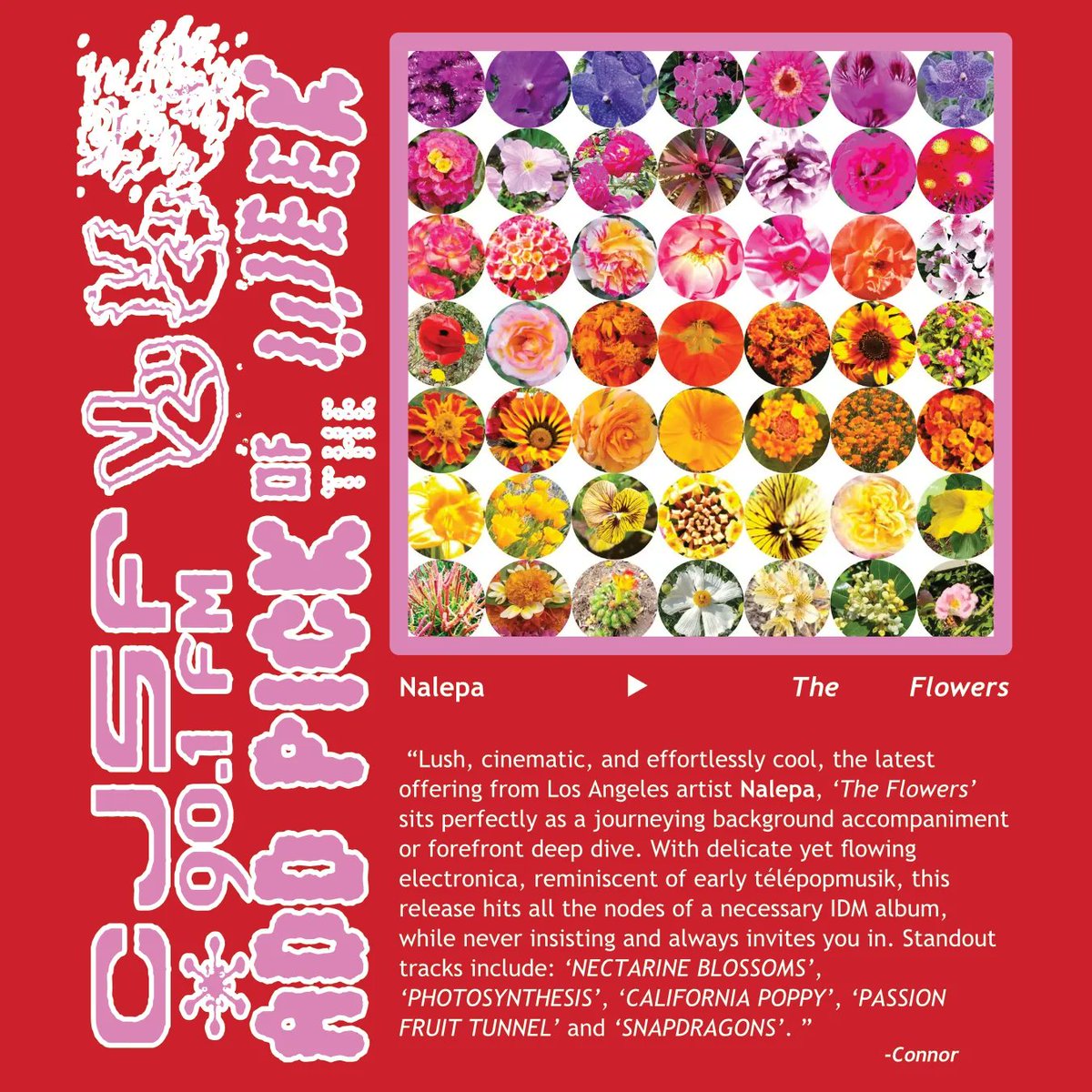 CJSF's tweet image. Another week, another set of #LatestListens for the month of February, brought to you (as always) by the Music Department right here at CJSF 90.1 FM!

✅️✨️ Featuring #CJSFPicks by @glassbeachband and @Nalepa: check them out in the image gallery below...