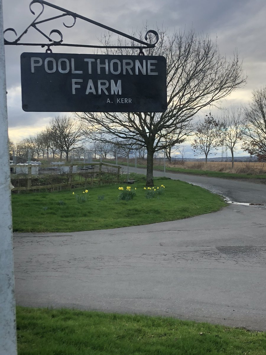 Signs of spring around @Cadney_Howsham on todays walk. @LincsSkies @lincsblogger #LincsConnect