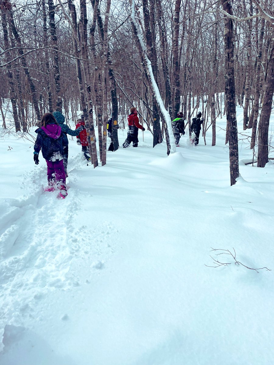Love those powder days! <a href="/DrJCWickwireAca/">WickwireAcademy</a> #snowshoe #explore #nature #winter #NovaScotia #GetOutside <a href="/taphens/">taphens</a> <a href="/HikeNS/">Hike Nova Scotia</a>
