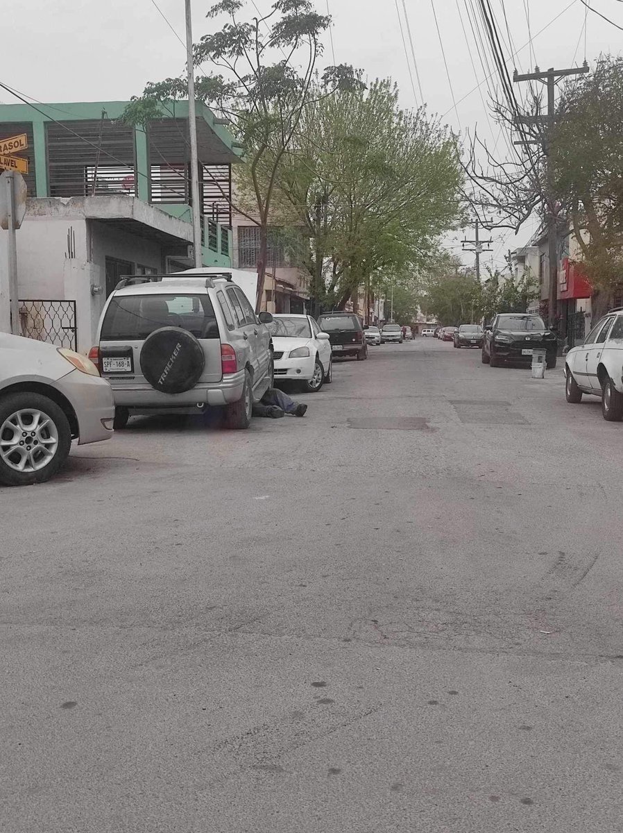 Se reporta mecánico de calle clavel 664, residencial Santo Domingo 2 sector, San Nicolás de los Garza, Entre girasol y clavel haciendo reparaciones en la calle y “yonkeando” autos en los alrededores. Vecinos ya están hartos. <a href="/SoyDeSanNicolas/">SAN NICOLÁS NEWS</a> <a href="/Simioregios/">Simioregios Al Volante</a> <a href="/MovilidadSN/">Movilidad San Nicolas 🚨</a>