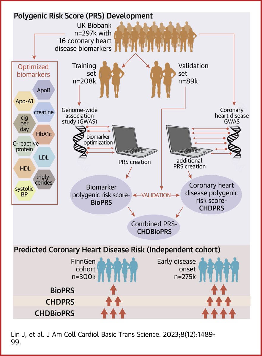 In this manuscript, Dr. Lin, et al. report a novel biomarker polygenic risk score that adds to the prediction of coronary heart disease risk, particularly for early-onset disease. bit.ly/48uTbxi

#JACCBTS #cvCAD #CardioTwitter