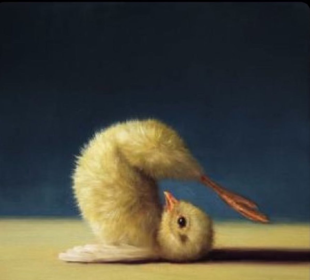 Oliviah UG tweet media