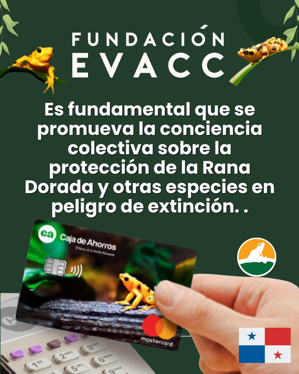 EvaccFoundation's tweet photo. Como panameño y defensor de esta especie, me alegra mucho ver que tanto las instituciones públicas como privadas están reconociendo el valor de la Rana Dorada. @CajadeAhorrosPA #PanamaHoy #Panama https://t.co/ikebST27ZR
