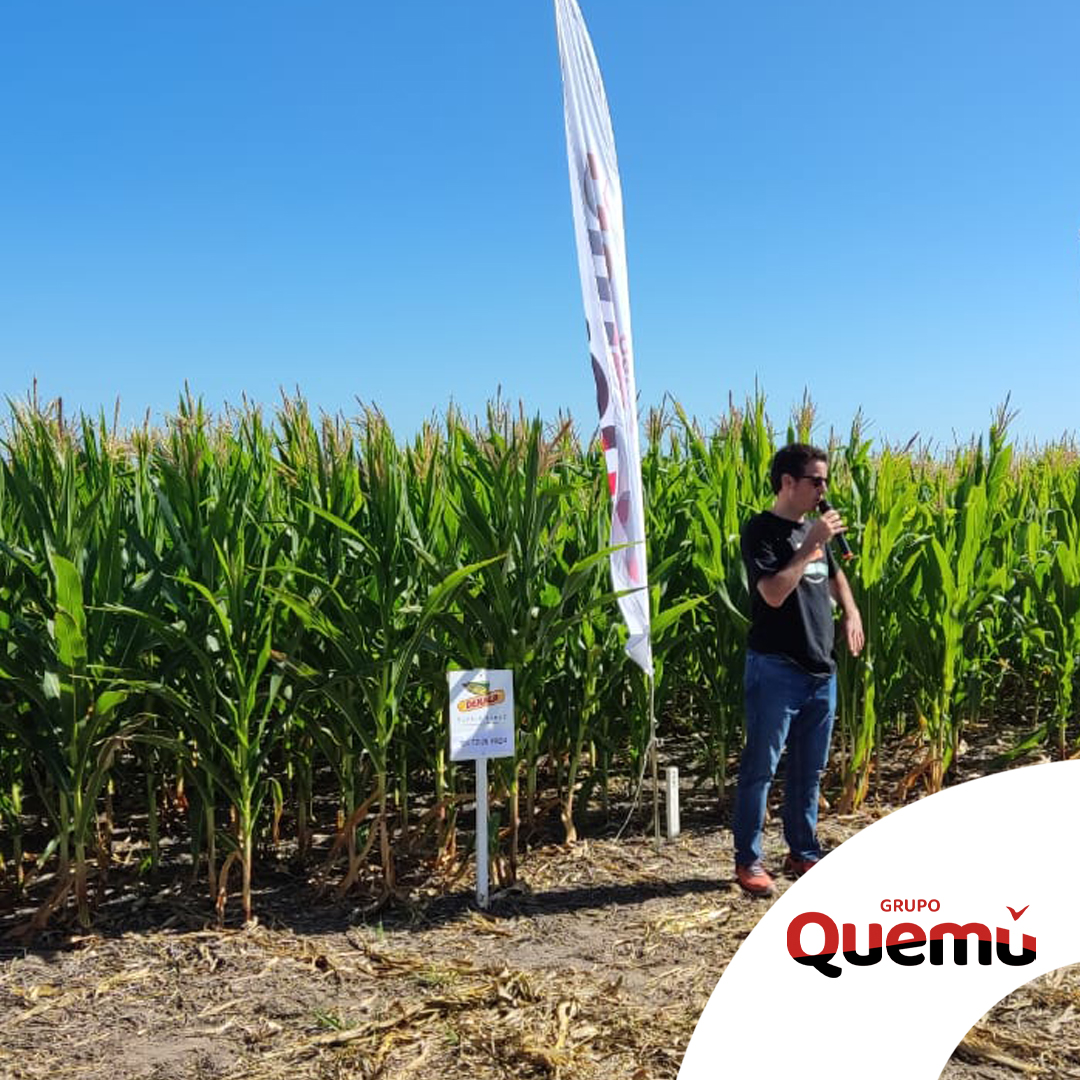 Fullagro de Grupo Quemú tweet media