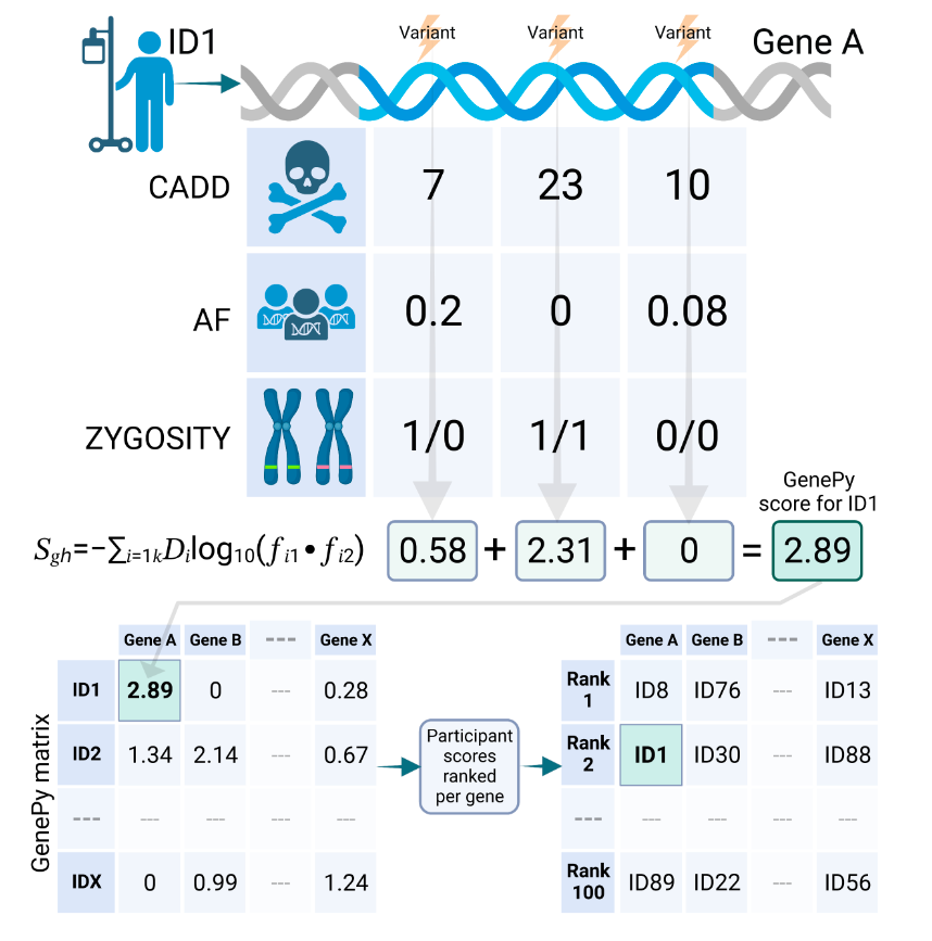 GIMJournal's tweet photo. GenePy is a useful adjunct for prioritizing #recessive conditions in analysis pipelines https://t.co/Ax3tsD4oRF #raredisease #nextgenerationsequencing #100KGP https://t.co/LJLtja7kPl