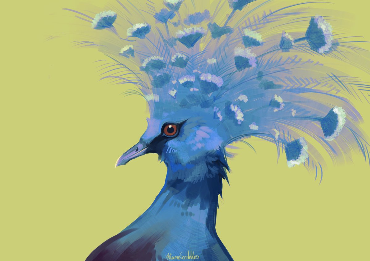 「close-up of a Victoria crowned pigeon bu」|Klume 🐏のイラスト