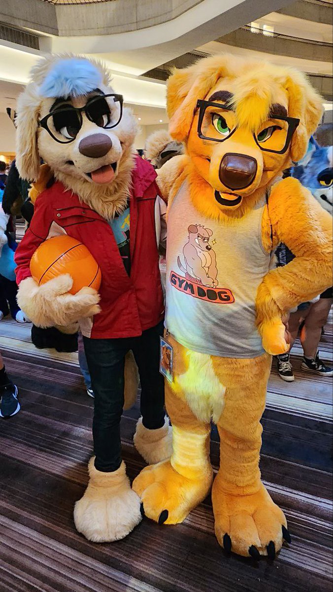 Golden Retrievers? That’s us. <a href="/AirBudJr/">Air Buuuud (Jr) 🌻</a>
 #FursuitFriday