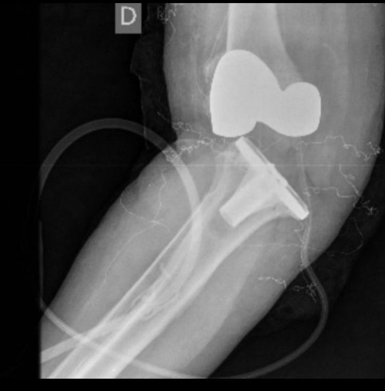 disasterplasty tweet media