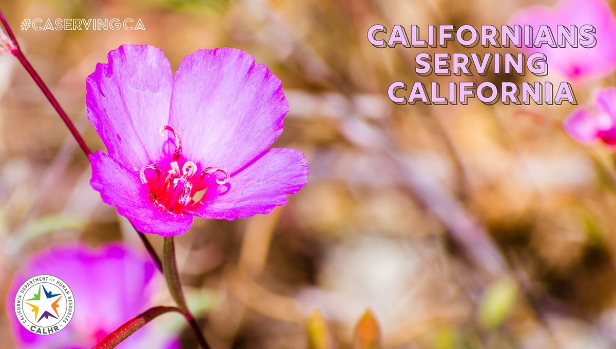 CalHR_gov tweet picture