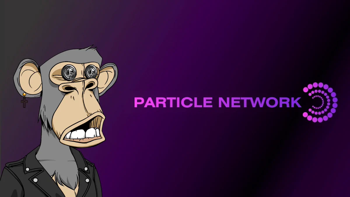 Particle Network