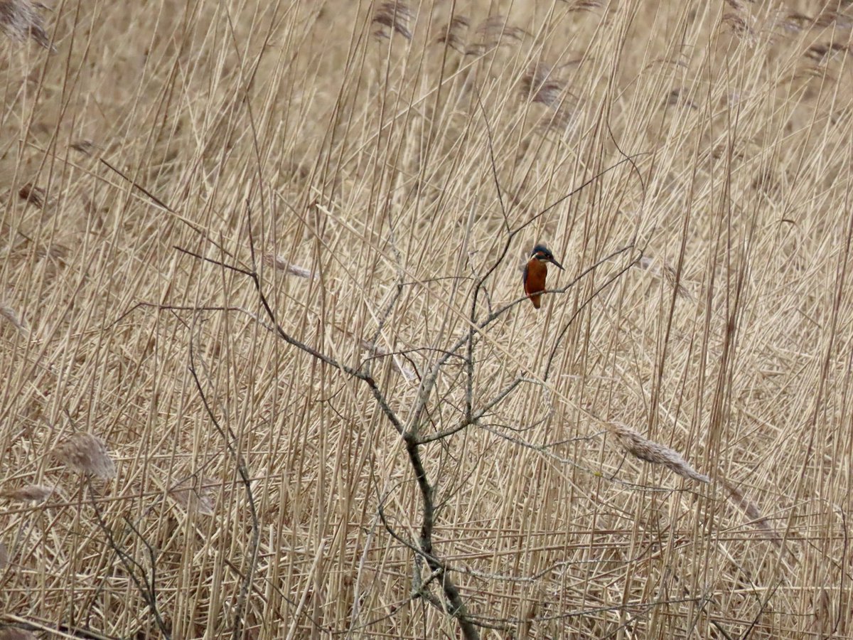 Heather Green tweet media