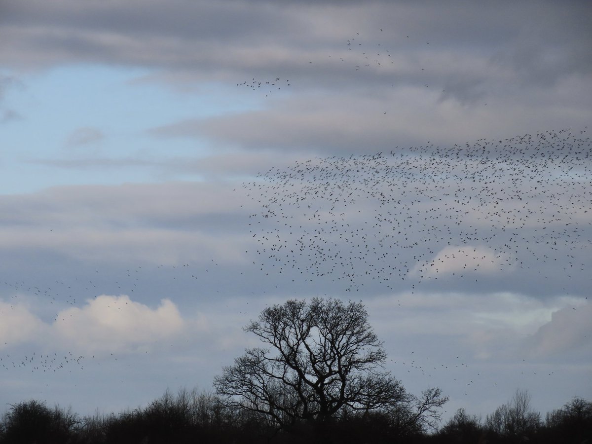 Heather Green tweet media