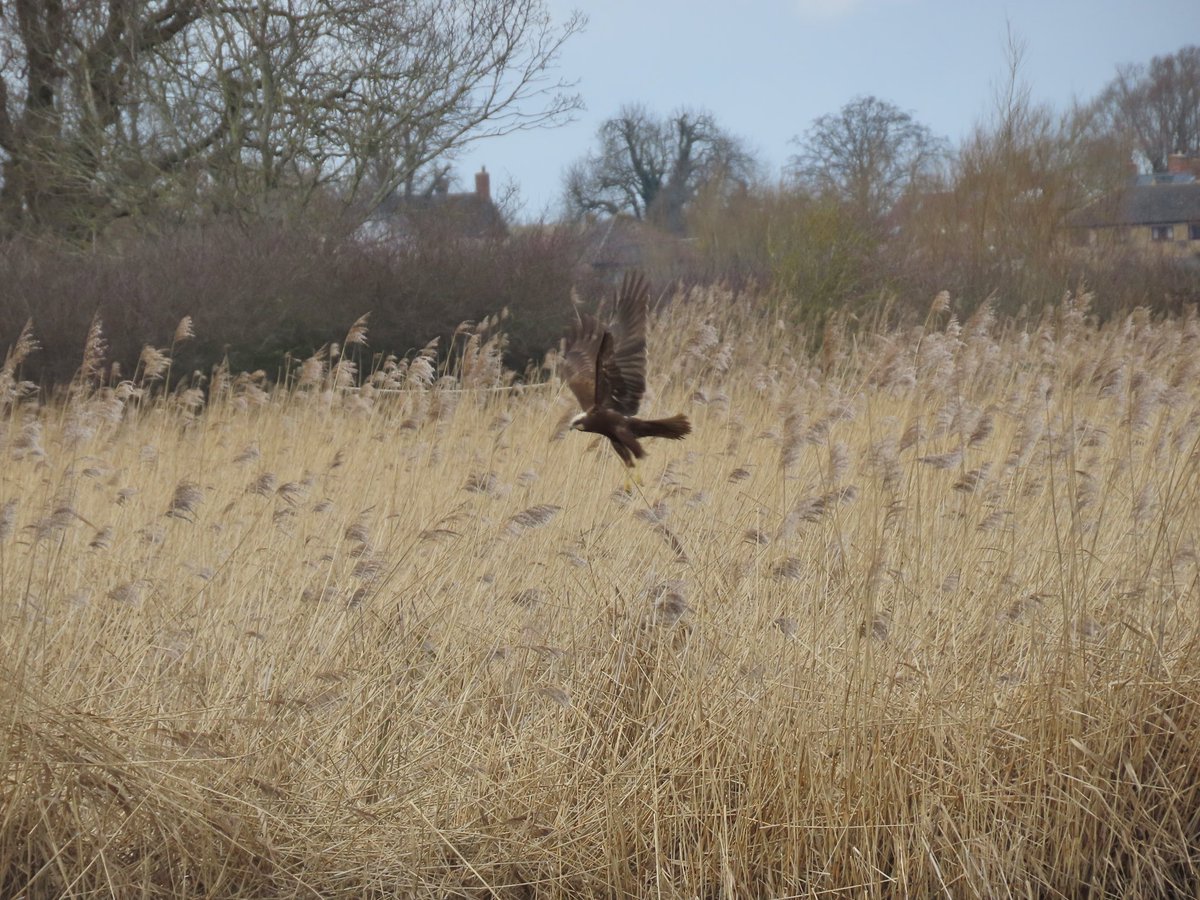 Heather Green tweet media