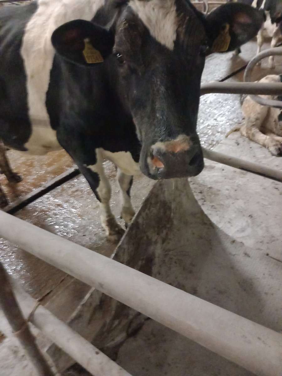 New Holland tweet media