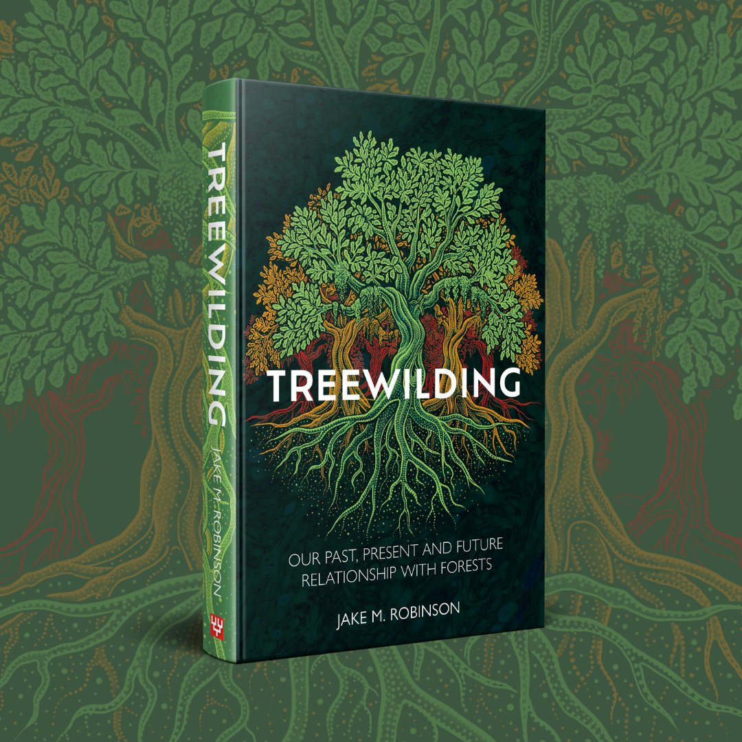 Jake Robinson (@_jake_robinson) on Twitter photo 🌳Can't wait to share this with the world!🌳 
My new book TREEWILDING: Our Past, Present & Future Relationship with Forests.
Out in Aug, preorder: pelagicpublishing.com/products/treew…
"We must see the woods (complex social and ecological systems) for the wood (timber)."
Description below. 🌳Can't wait to share this with the world!🌳 
My new book TREEWILDING: Our Past, Present & Future Relationship with Forests.
Out in Aug, preorder: pelagicpublishing.com/products/treew…
"We must see the woods (complex social and ecological systems) for the wood (timber)."
Description below.