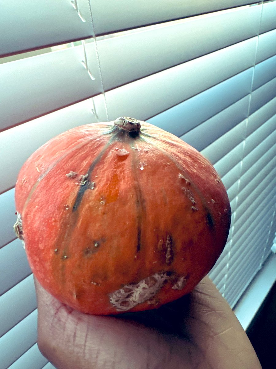 rvfdEmbodied's tweet photo. Stop wasting money! 💸

Wanna know which raw #fruits &amp; #veggies are ripe and when to throw away?

Check out my latest vid out today 👇🏾

How to Store and Ripen Fruit &amp; Veg for Maximum Freshness
https://t.co/nybYDzTTAc https://t.co/pOWsT9kWiK
