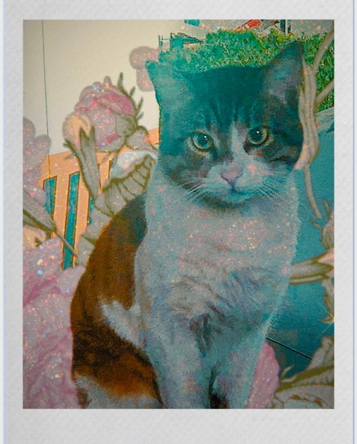 EROS SAHİPSİZ DEĞİL‼️bundan sonra hayvan katliamlarına  seyirci kalan ve onların haklarını savunmayan siyasetçilere #OyMoyYok 

#ErosiçinAdalet istiyoruz !! 
#ibrahimkeloğlantutuklansın 
#HayvanHaklarıAnayasaya 
#SokakHayvanlarıSahipsizDeğil