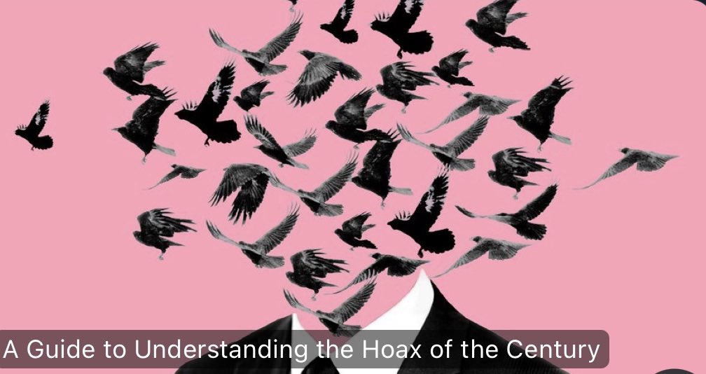 Moomin 🇯🇵🌙 tweet media