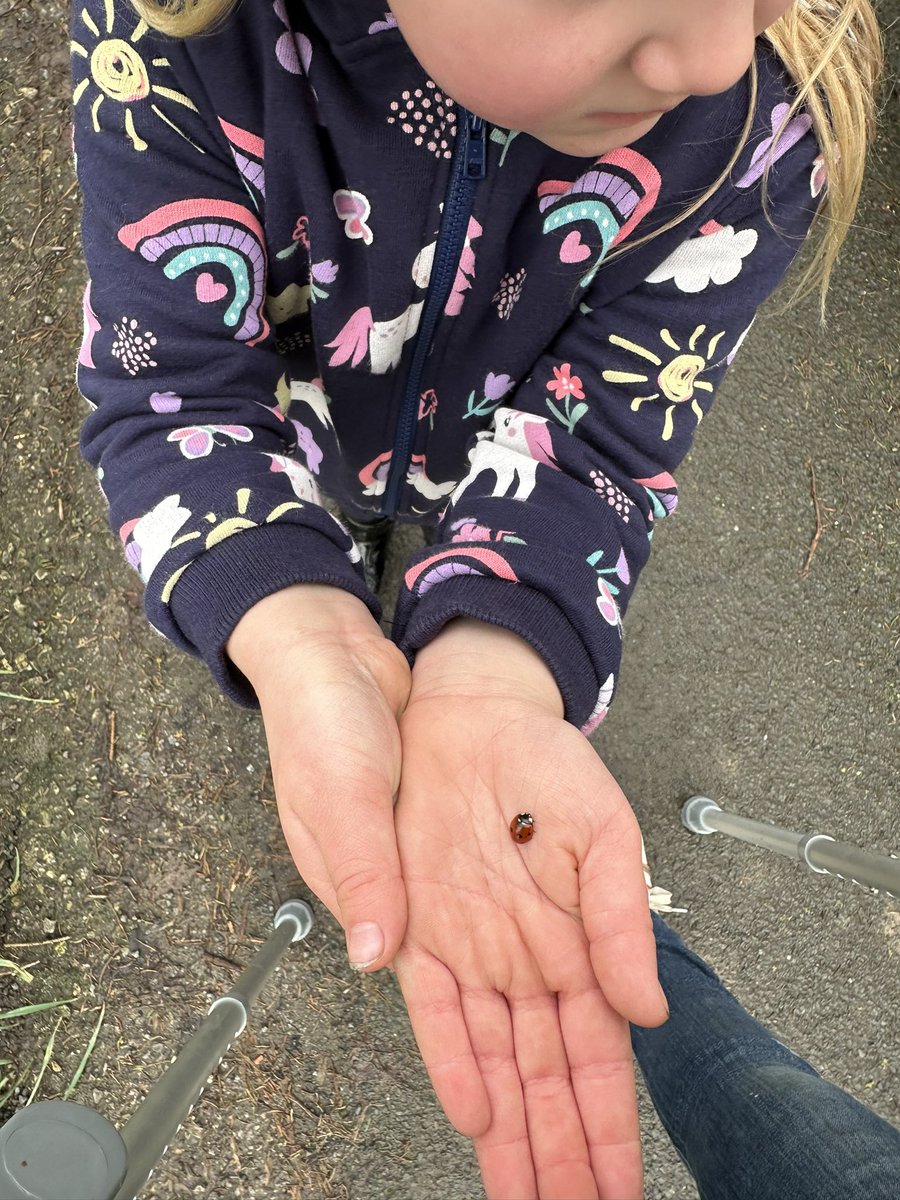 Gemmastones2's tweet photo. Well we kick started our half term with me in hospital 4stitches later not able to walk. Had my own nurse telling me I had grass in my knee we have stayed home and went to see our friends the goats and small and slow walks. I well be back on the fells where we love to be https://t.co/ePZs5rE8gB