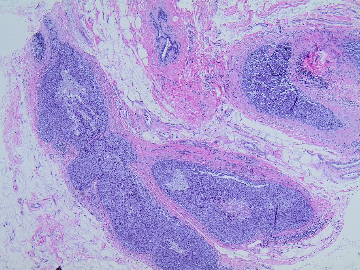 Masood Hassan tweet media