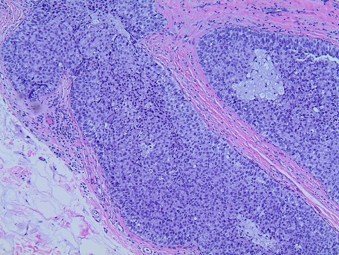 Masood Hassan tweet media