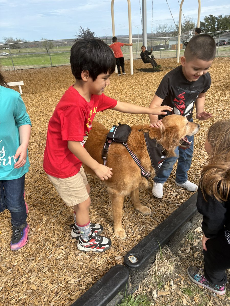 Our socials studies unit this week ‘wants vs needs’…students wrote persuasive letters to our Principal & had to convince her with reasons they ‘want’ Ginger to visit them at school🤗 So much joy!!