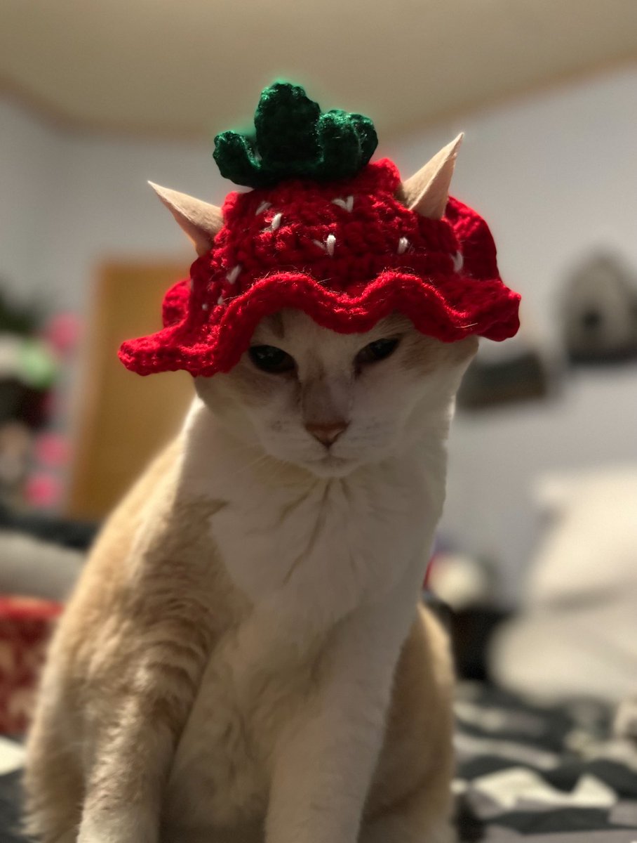 Native Red Cloud🪶Maȟpíya Lúta~Hińhan Wakangli⚡️🦉 tweet media