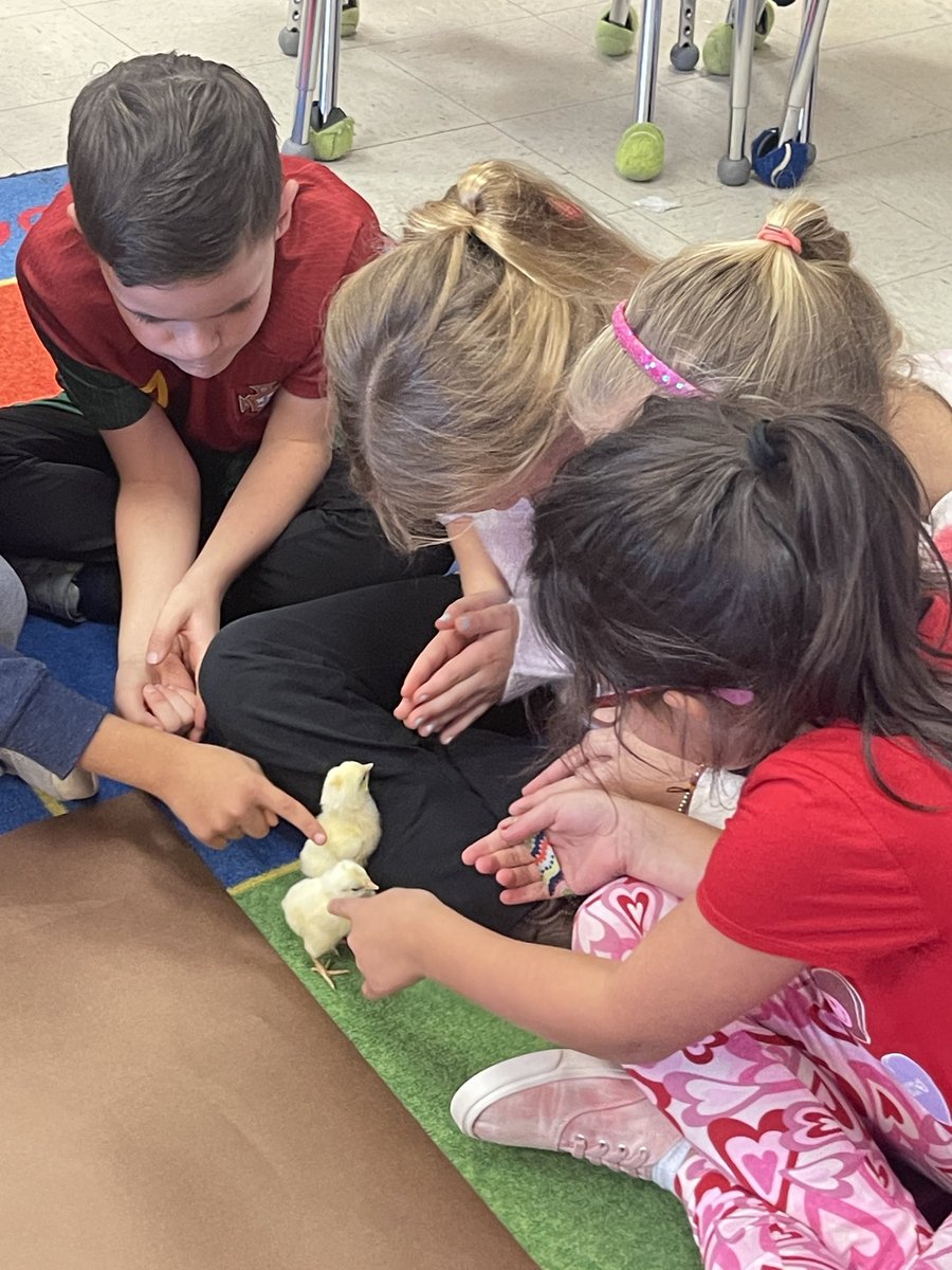 BellamyTweets tweet media