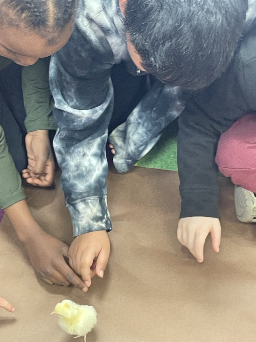 BellamyTweets tweet media